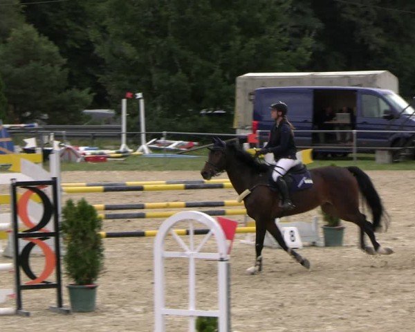 Reitturnier Bad Liebenstein/Sorga 2024
