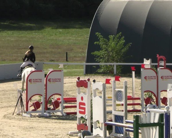 Reitturnier Bad Schmiedeberg 2024
