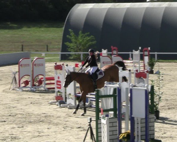 Reitturnier Bad Schmiedeberg 2024