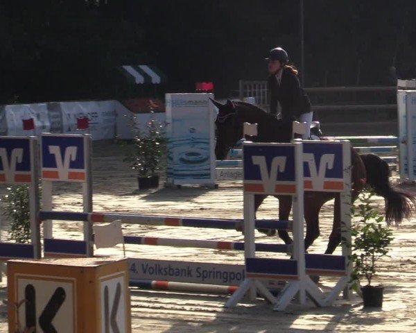Reitturnier Albersloh 2024