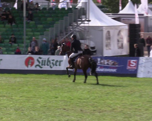 Reitturnier Mühlengeez 2024