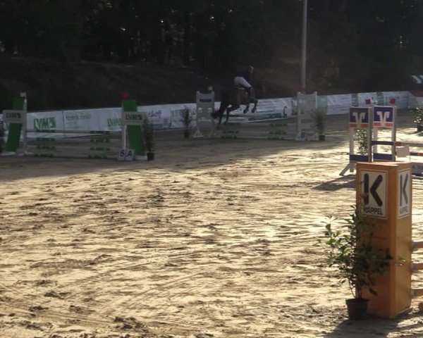Reitturnier Albersloh 2024