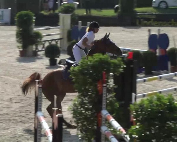 Landeschampionat Baden-Württemberg 2013