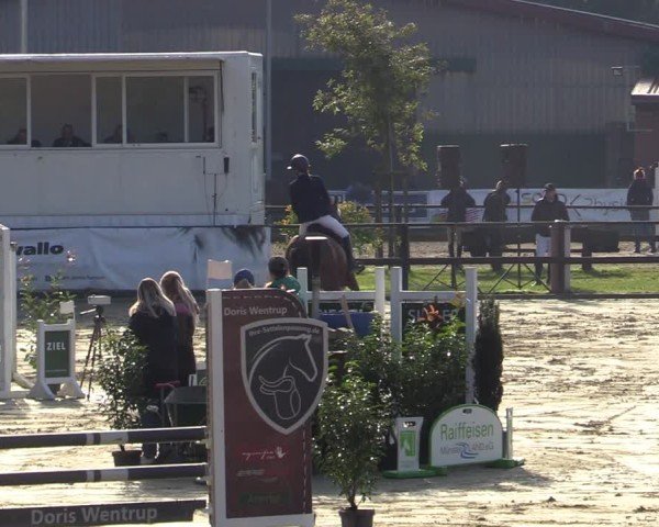Reitturnier Albersloh 2024