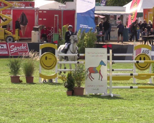 Reitturnier Mühlengeez 2024