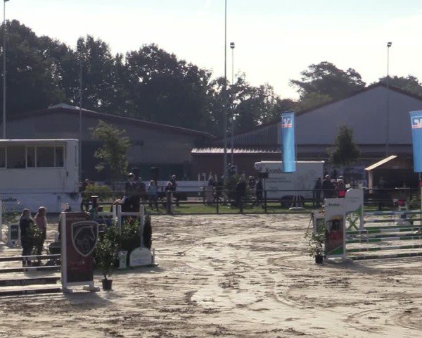 Reitturnier Albersloh 2024