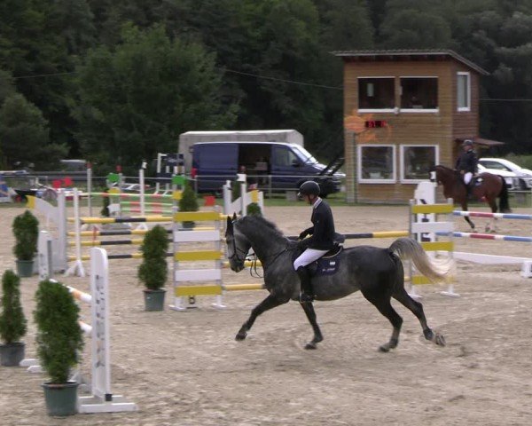 Reitturnier Bad Liebenstein/Sorga 2024