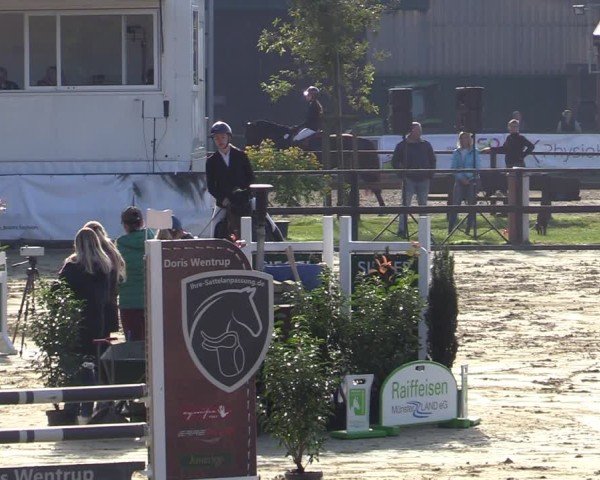 Reitturnier Albersloh 2024