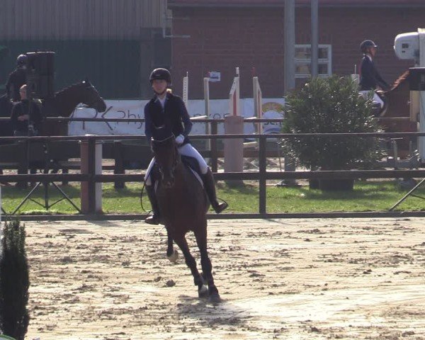 Reitturnier Albersloh 2024