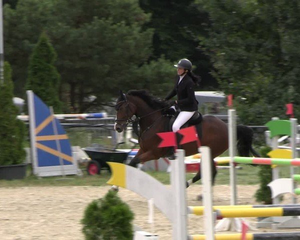 Reitturnier Bad Liebenstein/Sorga 2024