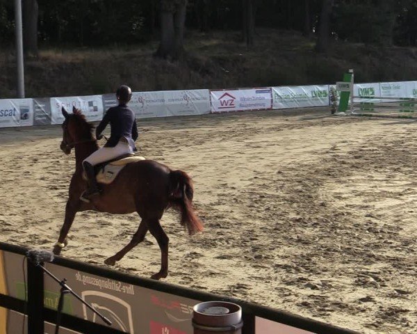 Reitturnier Albersloh 2024