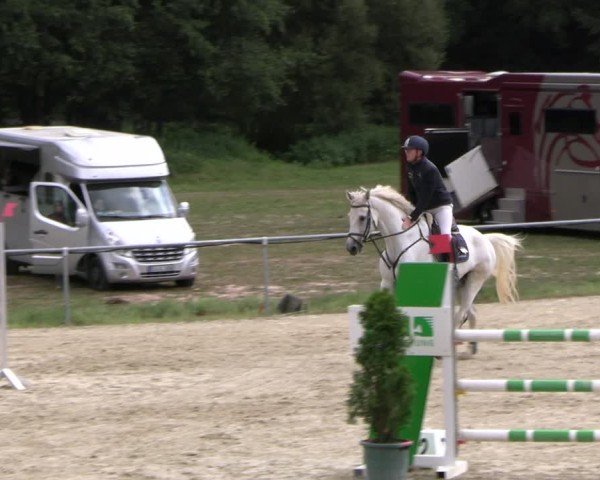 Reitturnier Bad Liebenstein/Sorga 2024