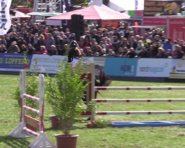 Reitturnier Mühlengeez 2024
