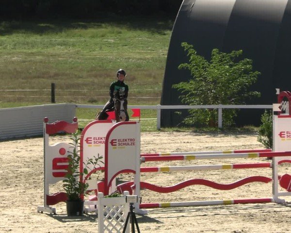 Reitturnier Bad Schmiedeberg 2024