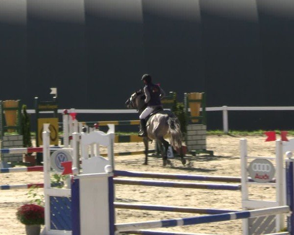 Reitturnier Bad Schmiedeberg 2024