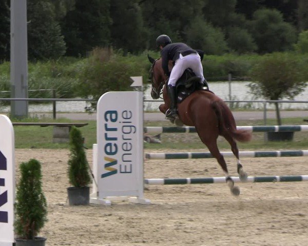 Reitturnier Bad Liebenstein/Sorga 2024