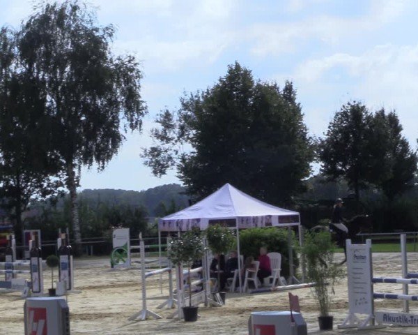 Reitturnier Seppenrade 2024