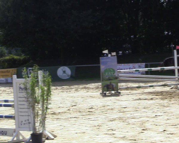 Reitturnier Seppenrade 2024