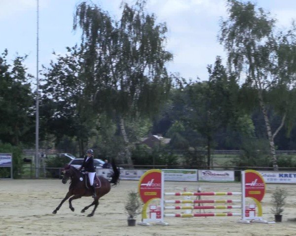 Reitturnier Seppenrade 2024