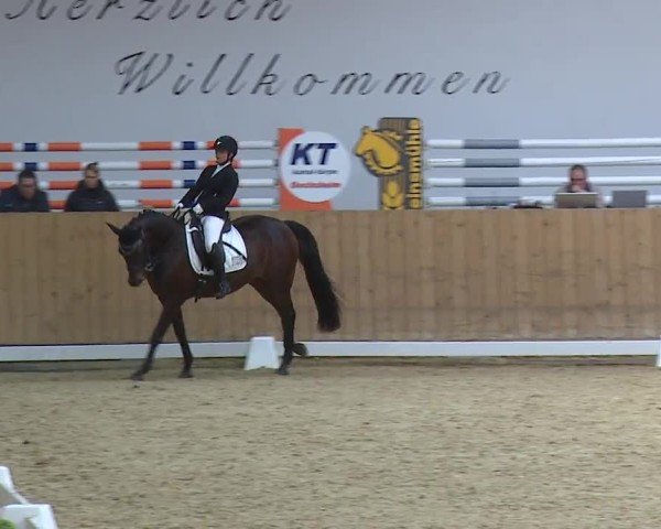 Reitturnier Grafenrheinfeld/Ufr. 2024