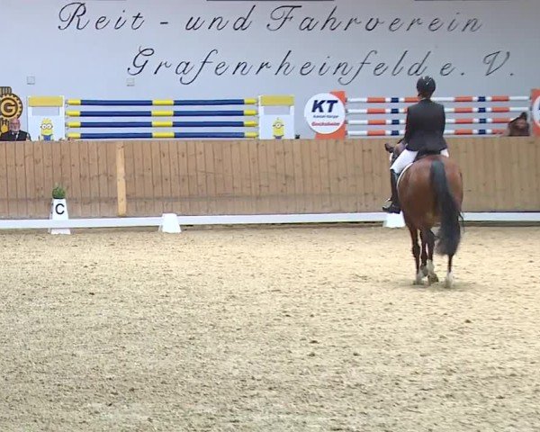 Reitturnier Grafenrheinfeld/Ufr. 2024