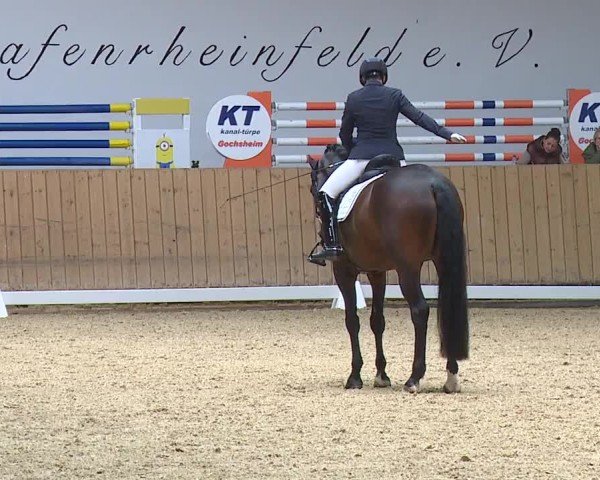 Reitturnier Grafenrheinfeld/Ufr. 2024