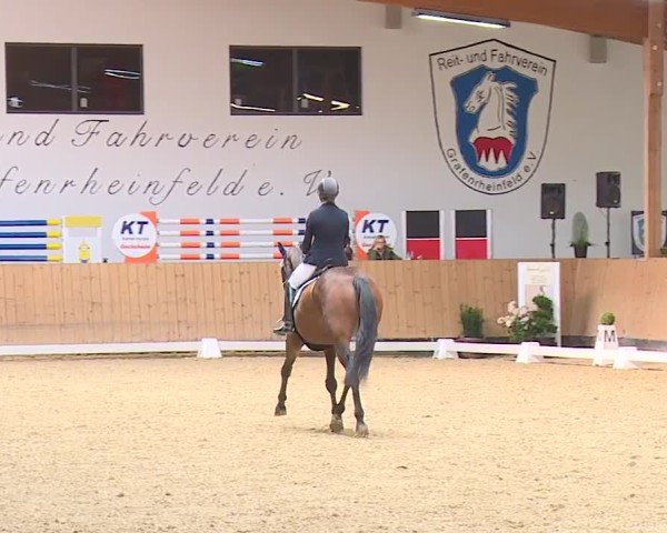 Reitturnier Grafenrheinfeld/Ufr. 2024