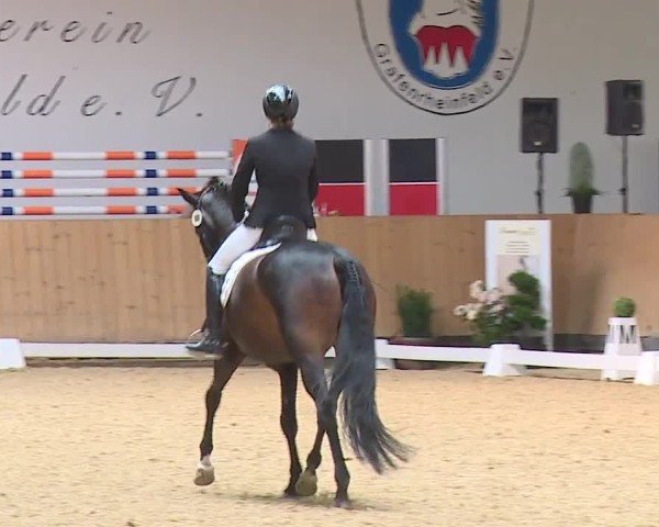 Reitturnier Grafenrheinfeld/Ufr. 2024