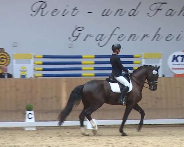 Reitturnier Grafenrheinfeld/Ufr. 2024