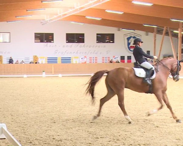 Reitturnier Grafenrheinfeld/Ufr. 2024