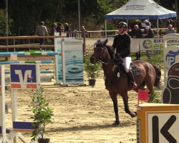 Reitturnier Albersloh 2024