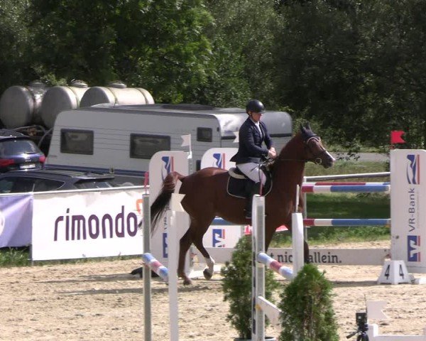 Reitturnier Bad Liebenstein/Sorga 2024