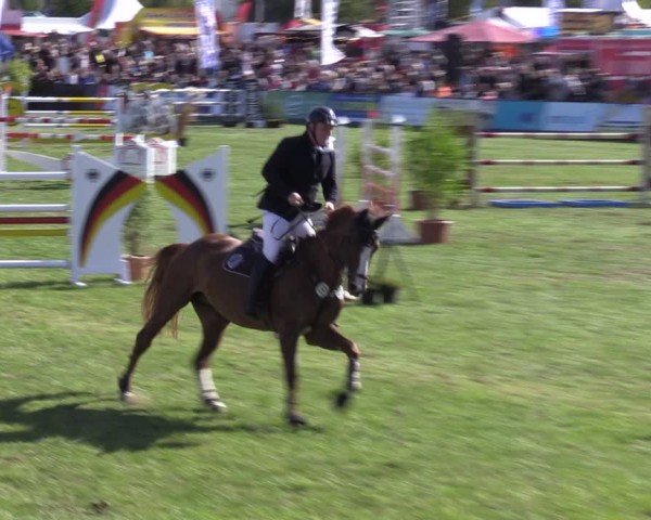 Reitturnier Mühlengeez 2024