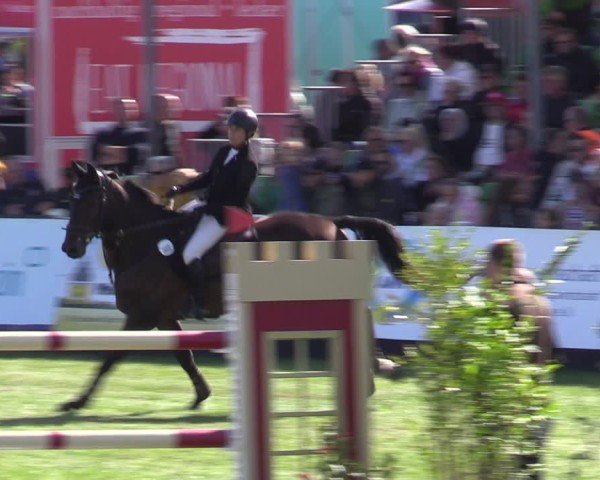 Reitturnier Mühlengeez 2024
