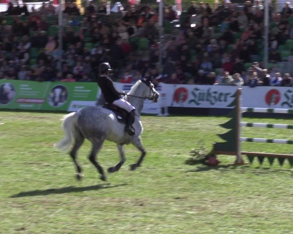 Reitturnier Mühlengeez 2024
