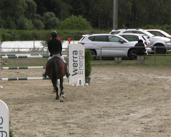 Reitturnier Bad Liebenstein/Sorga 2024