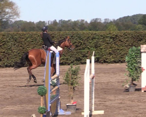 Reitturnier Lentzke - Reitanlage Krehl 2024