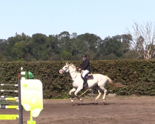 Reitturnier Lentzke - Reitanlage Krehl 2024