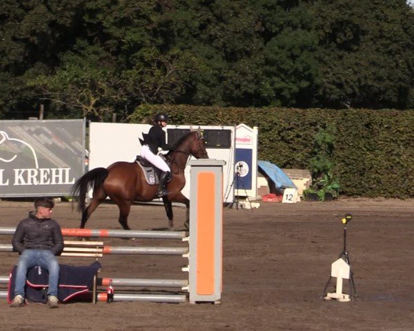 Reitturnier Lentzke - Reitanlage Krehl 2024