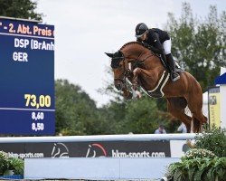 jumper Celina (German Sport Horse, 2019, from Cellestial)