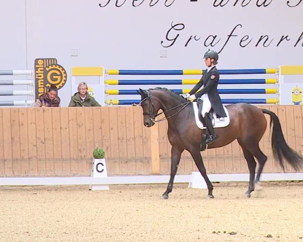 Reitturnier Grafenrheinfeld/Ufr. 2024