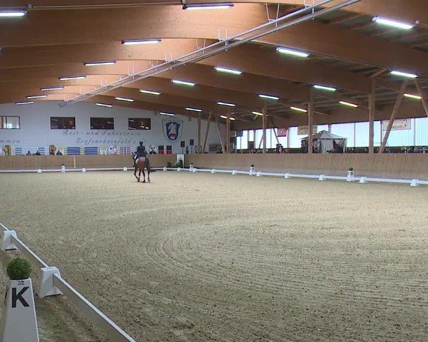 Reitturnier Grafenrheinfeld/Ufr. 2024
