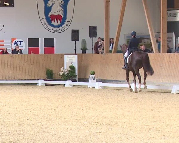 Reitturnier Grafenrheinfeld/Ufr. 2024