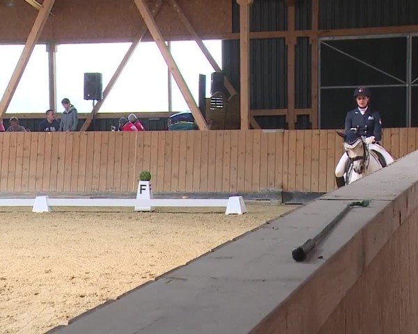 Reitturnier Grafenrheinfeld/Ufr. 2024