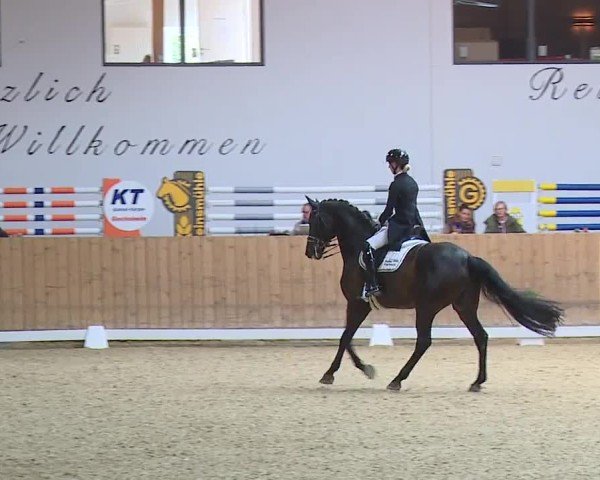 Reitturnier Grafenrheinfeld/Ufr. 2024