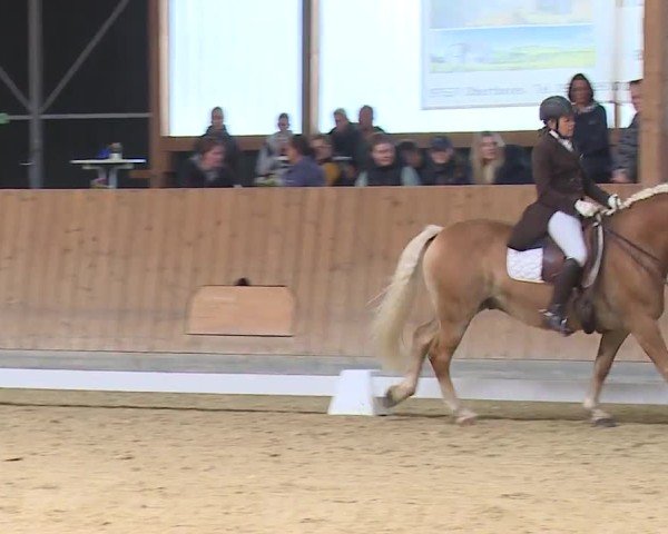 Reitturnier Grafenrheinfeld/Ufr. 2024