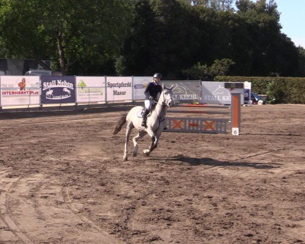Reitturnier Lentzke - Reitanlage Krehl 2024