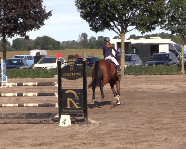Reitturnier Lentzke - Reitanlage Krehl 2024