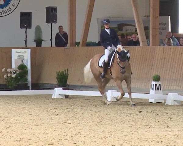 Reitturnier Grafenrheinfeld/Ufr. 2024