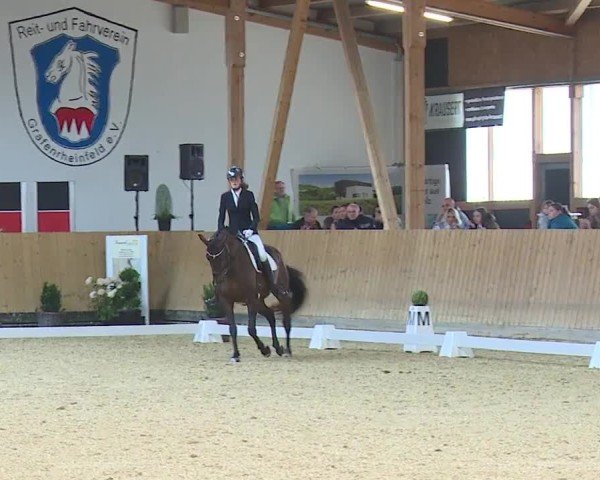 Reitturnier Grafenrheinfeld/Ufr. 2024